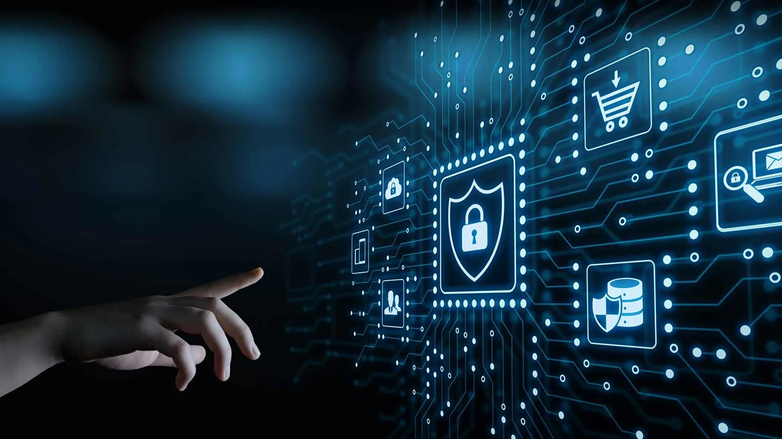 Software information security