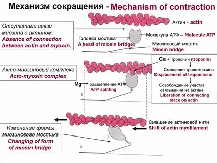 Механизм снижения