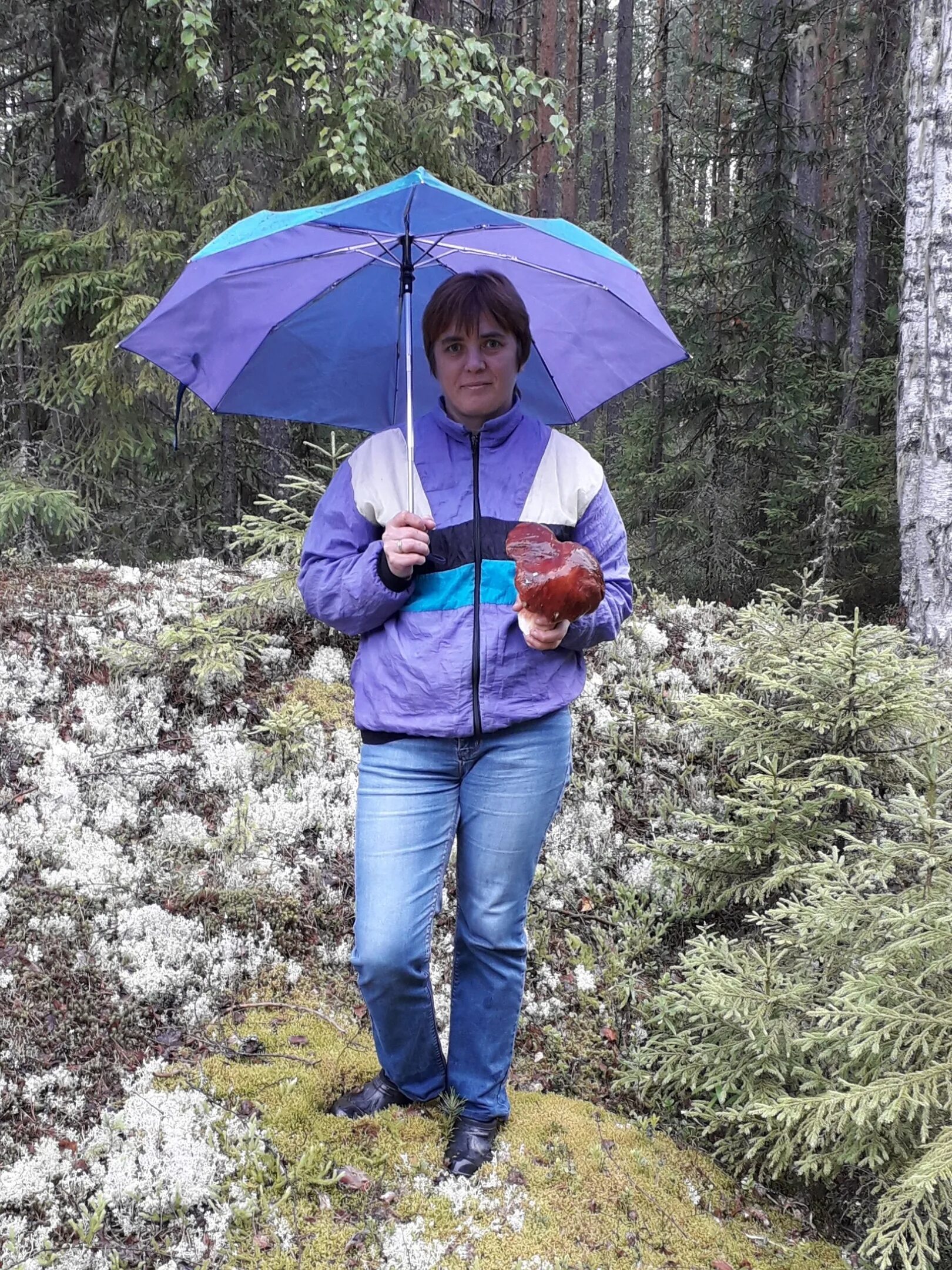 Обмен сергачева. Сайт алексеевского городского округа. Обмен сергачева. Обмен сергачева. Обмен сергачева.