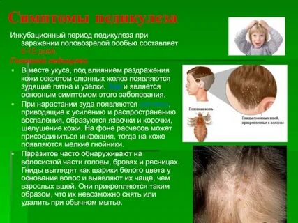 Могут ли после обработки