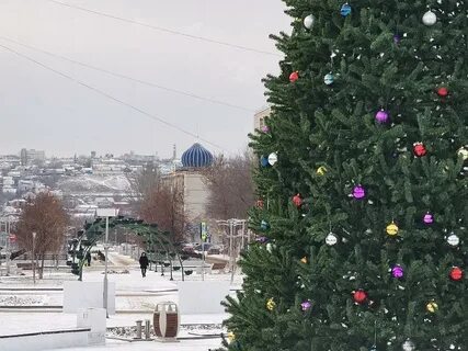 День городище волгоградская область