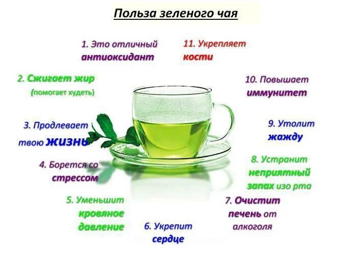 Чем полезен зеленый чай для организма. Свойства зелёного чая польза и вред. Чем полезен зеленый чай. Чем полезень зелёный чай. Чем полезен зелёный яай.