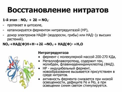 Кислородный этап протекает в