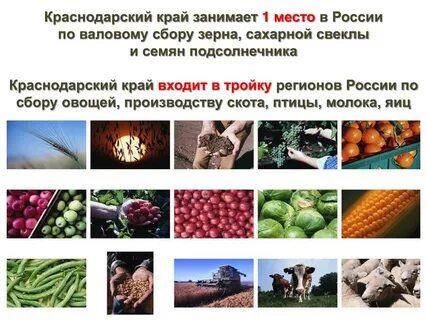 Выбирай краснодарский край