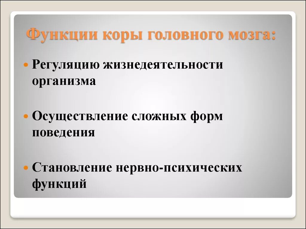 Функция коры является. Функции коры.
