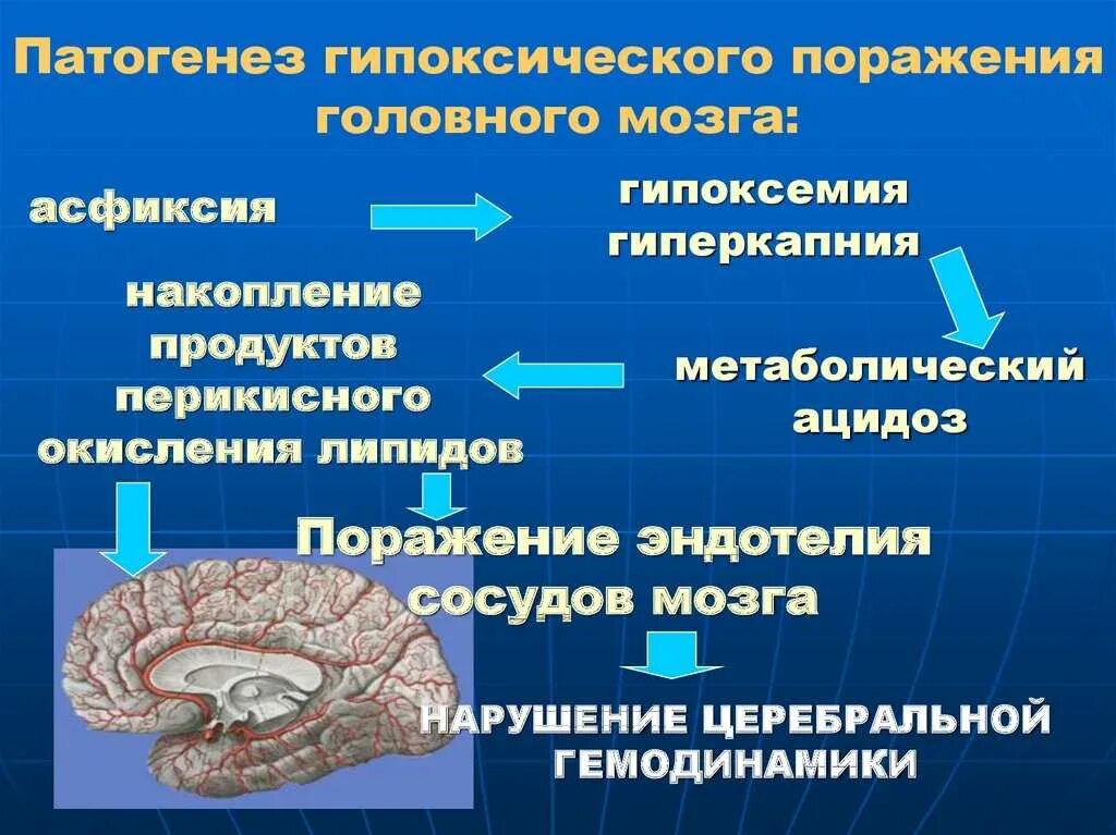 Патогенез гипоксического повреждения головного мозга. Гипоксически-ишемическое поражение головного мозга. Гипоксически-ишемическое поражение головного мозга у новорожденных. Гимоксияески ишемический поражения головного мозга. Церебральная ишемия у новорожденного 2