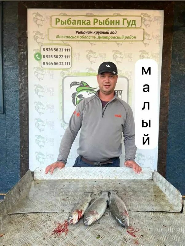 рыбин гуд форум