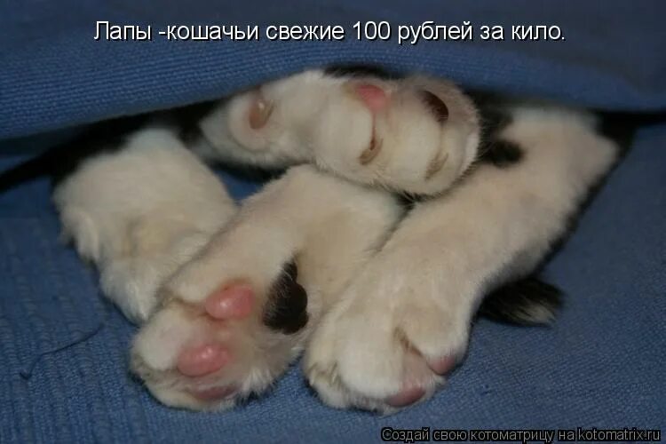 Входя в ваше положение. Входя в ваше положение. Входя в ваше положение. Деловая беседа презентация. Входя в ваше положение.