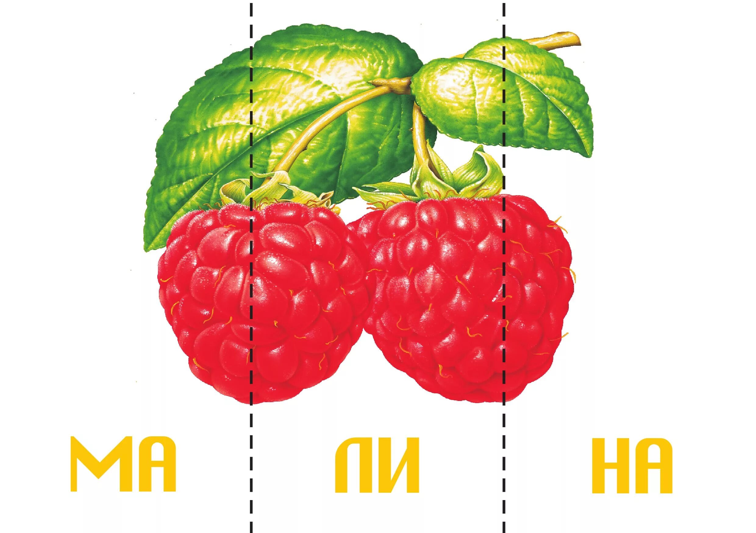 Слово ягода по слогам. Пазлы ягоды для детей. Ребус малина. Ягоды картинки для детей. Пазлы фрукты для детей.