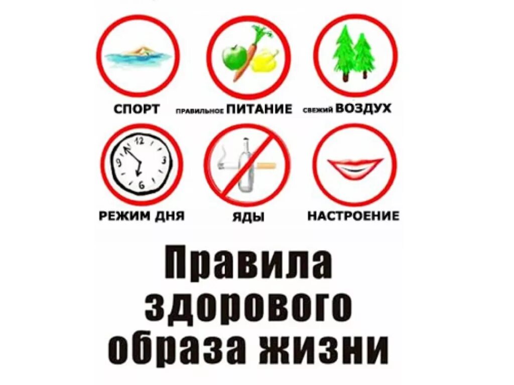 Что такое зож. Здоровый образ жизни. Мы за здоровый образ жизни. Вести здоровый образ жизни. Знаки здорового образа жизни.