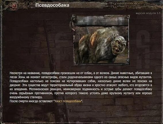 Хвост псевдособаки в сталкере тень чернобыля. Псевдособака сталкер зов припяти. Сталкер 50мг. Псевдособака зов припяти. Псевдособака сталкер хвост.