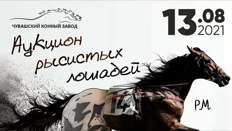 Чувашский конный завод