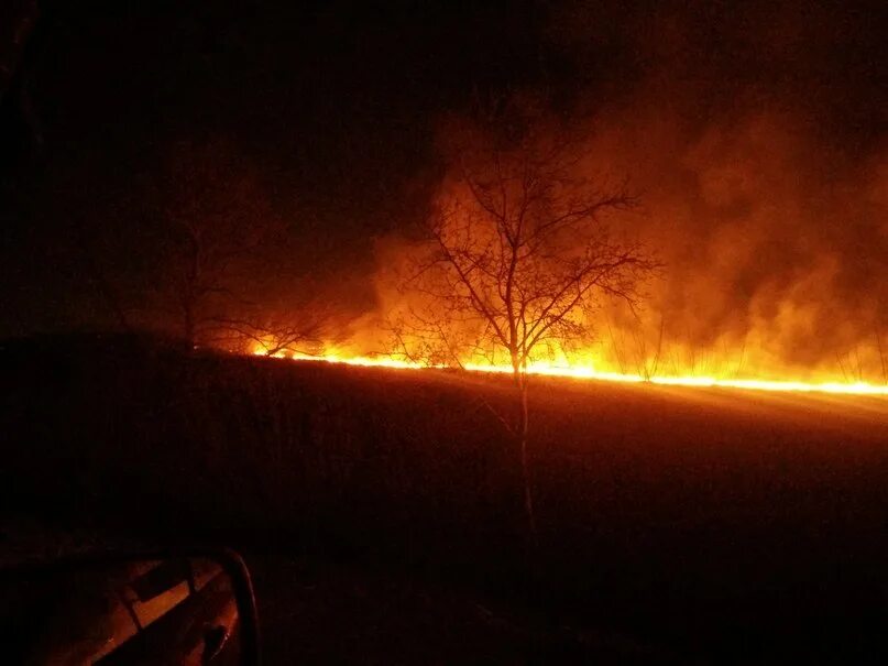 Горит трава ночью. Поле горит. зарево пожара. пожар в поле ночью. горящее поле.
