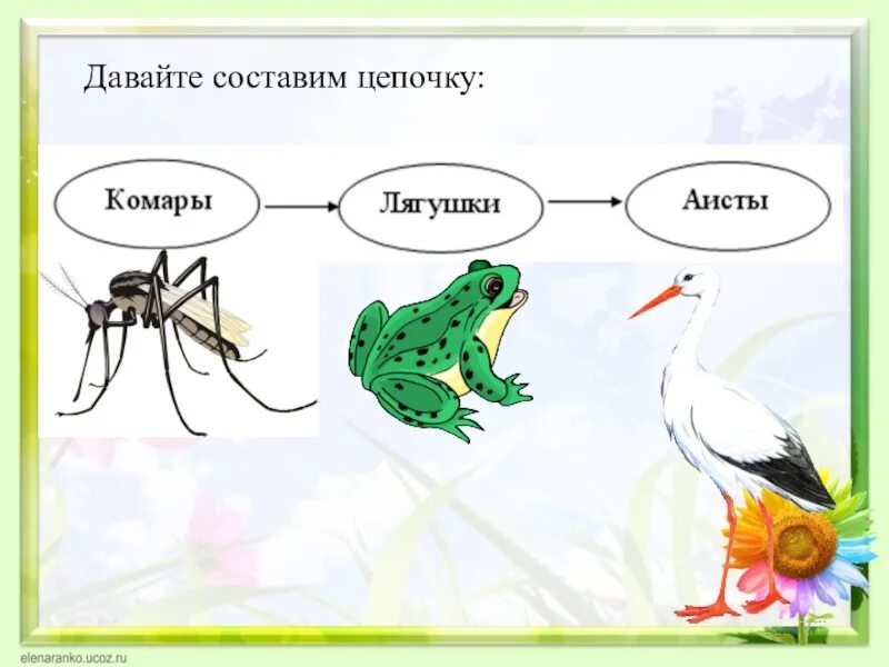 Давай составим. Цепи питания. Цепи питания 3 класс окружающий мир. Цеппитания окружающий мир. Цепочка окружающий мир.