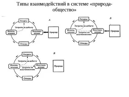 Взаимодействие систем система и среда