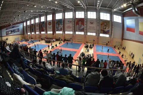 Академия единоборств рязань