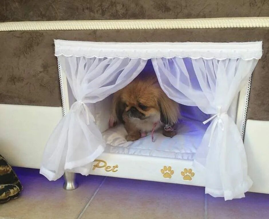 Собачья кровать для человека. Кровать для собаки. Спальное место для собаки. Кровать для маленькой собаки. Кровать с местом для собаки.