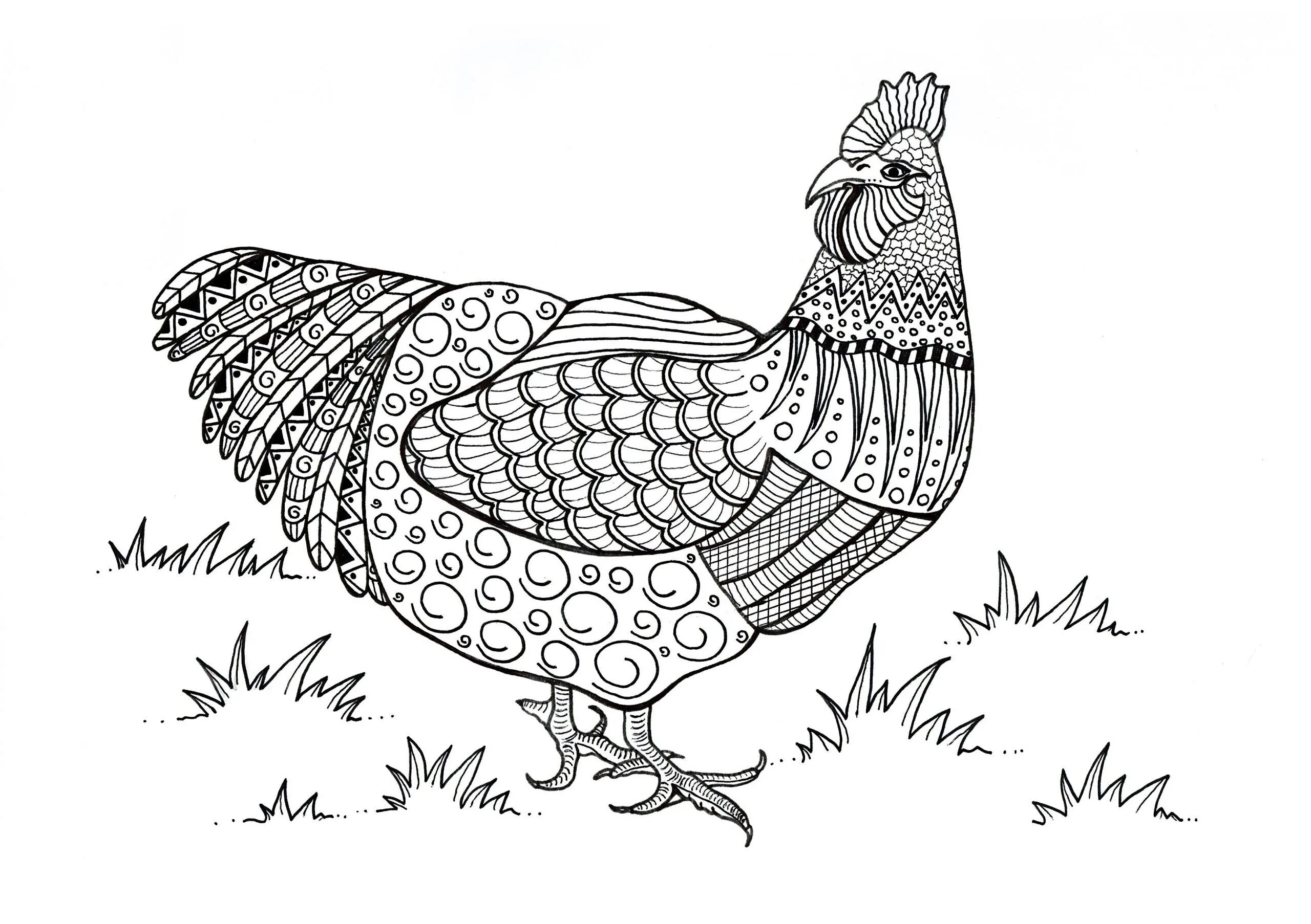 Куром раскраска для детей распечатать раскраски Pin on Chicken ideas