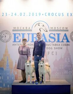 Евразия 2024 выставка собак регистрация