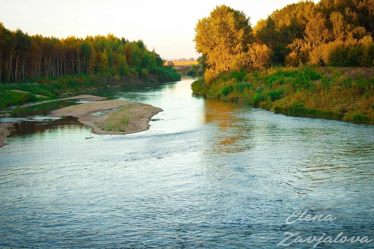 Река алей в рубцовске