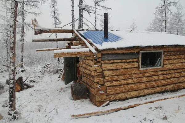 зимовье птиц. зимовья охотников. постройка зимовья в тайге. зимовье в тайге. заимка зимовье томск.