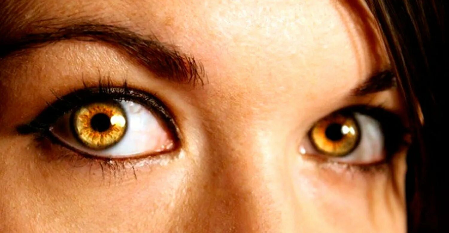Желтый глаз 14. Карие янтарные глаза. Желтые глаза. Золотистый цвет глаз. Золотисто карие глаза.