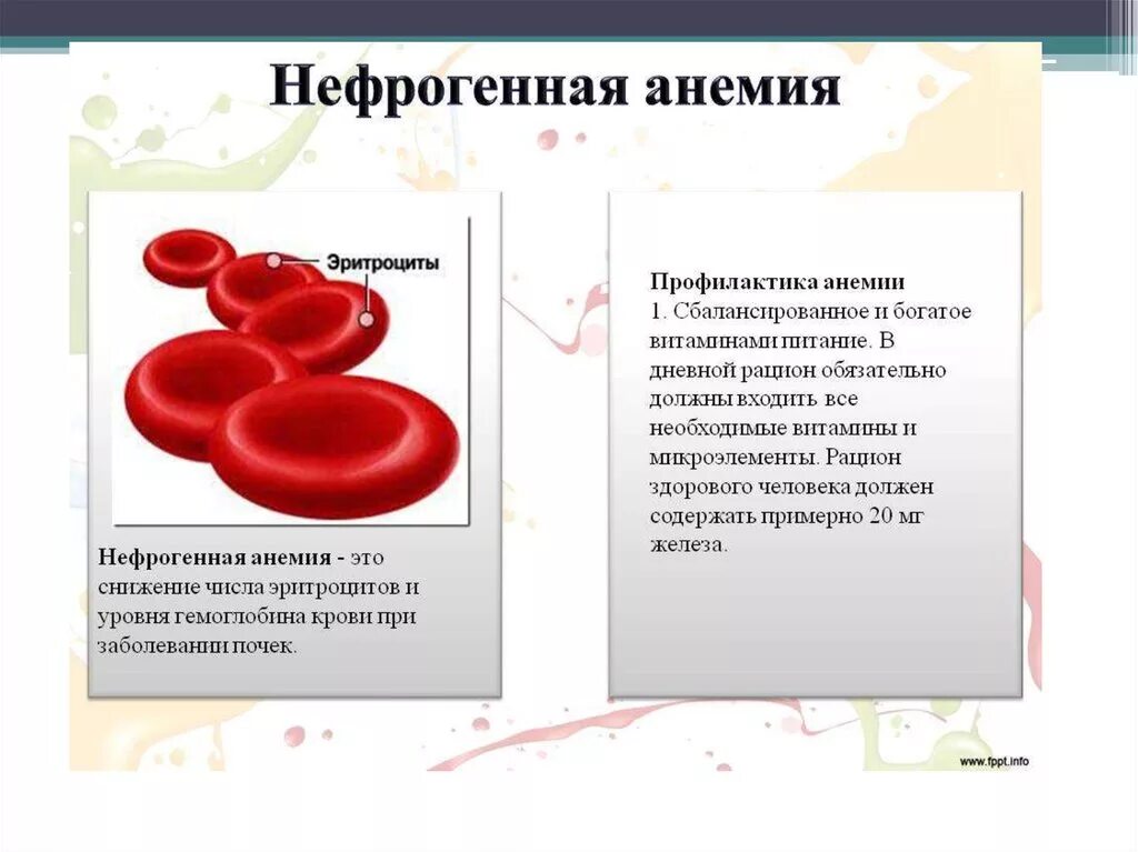 Анемия количество эритроцитов. Механизмы развития анемии при хронических заболеваниях почек. Причины низкого гемоглобина при почечной недостаточности. Гемоглобин при хронический почечной недостаточности. Механизм анемии при заболевании почек.