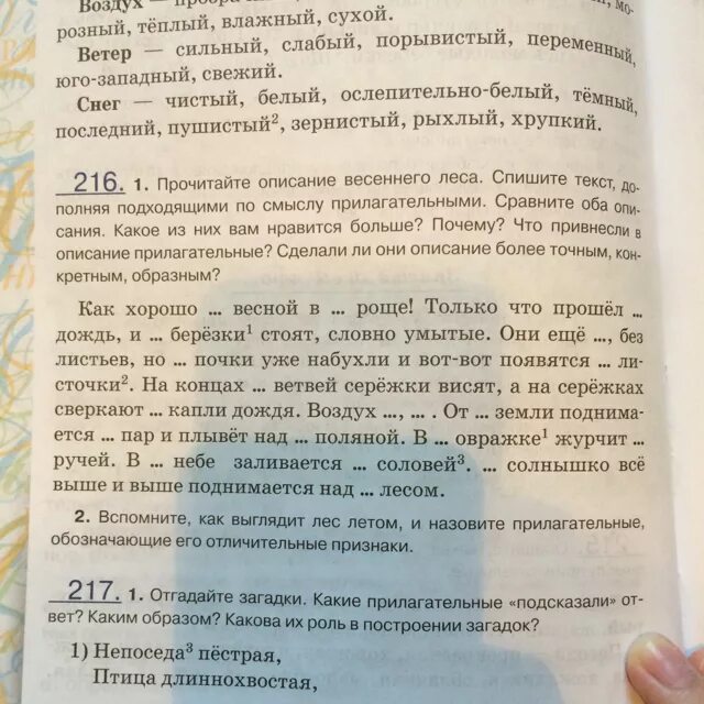 Текст описание весеннего. Сочинение в лесу весной. Текст описание весенний лес.