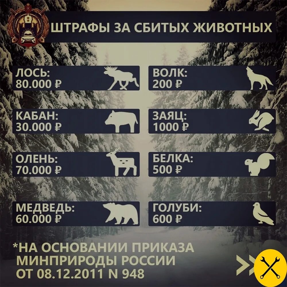 Сколько штраф за животных. Штрафы на сбитых животных. таблица штрафов за сбитие животных. штраф за сбитого животного. штрафы за сбитых животных 2025.