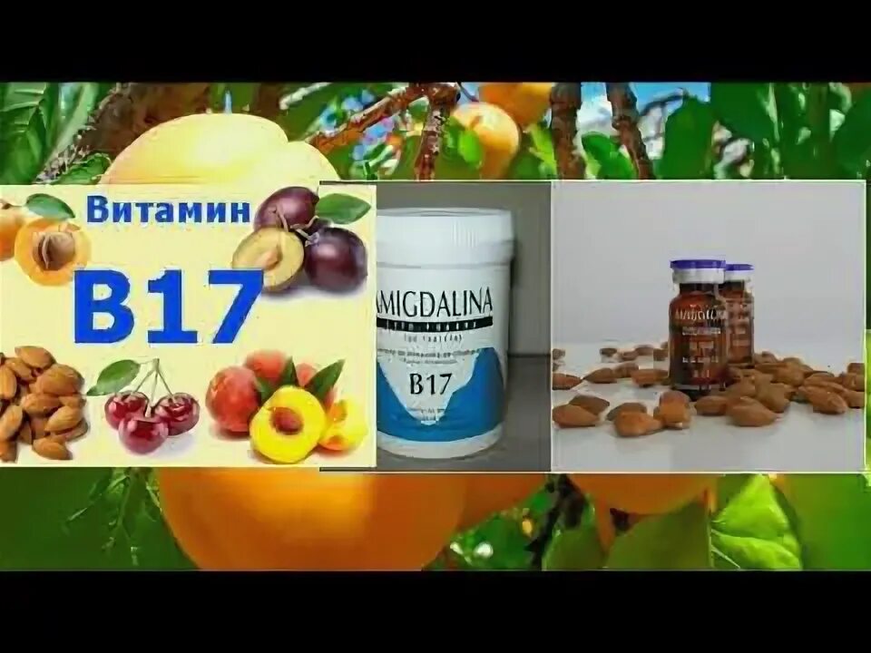 Витамин б17 против. Витамин б17 против. Амигдалин витамин б17. Витамин в17 в еде. Амигдалин витамин б17.