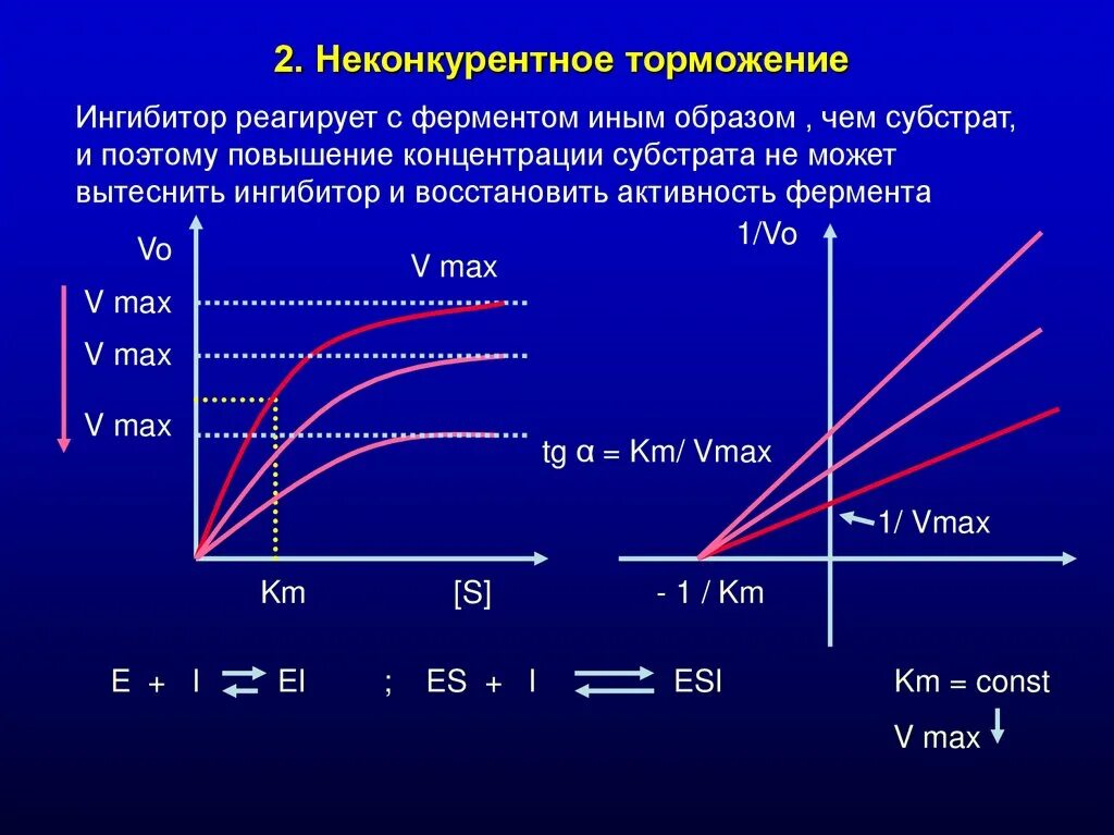 График конкурентное и неконкурентное ингибирование ферментов. Ферментативная кинетика ингибирования. Неконкурентное ингибирование ферментов график. Типы ингибирования графики.