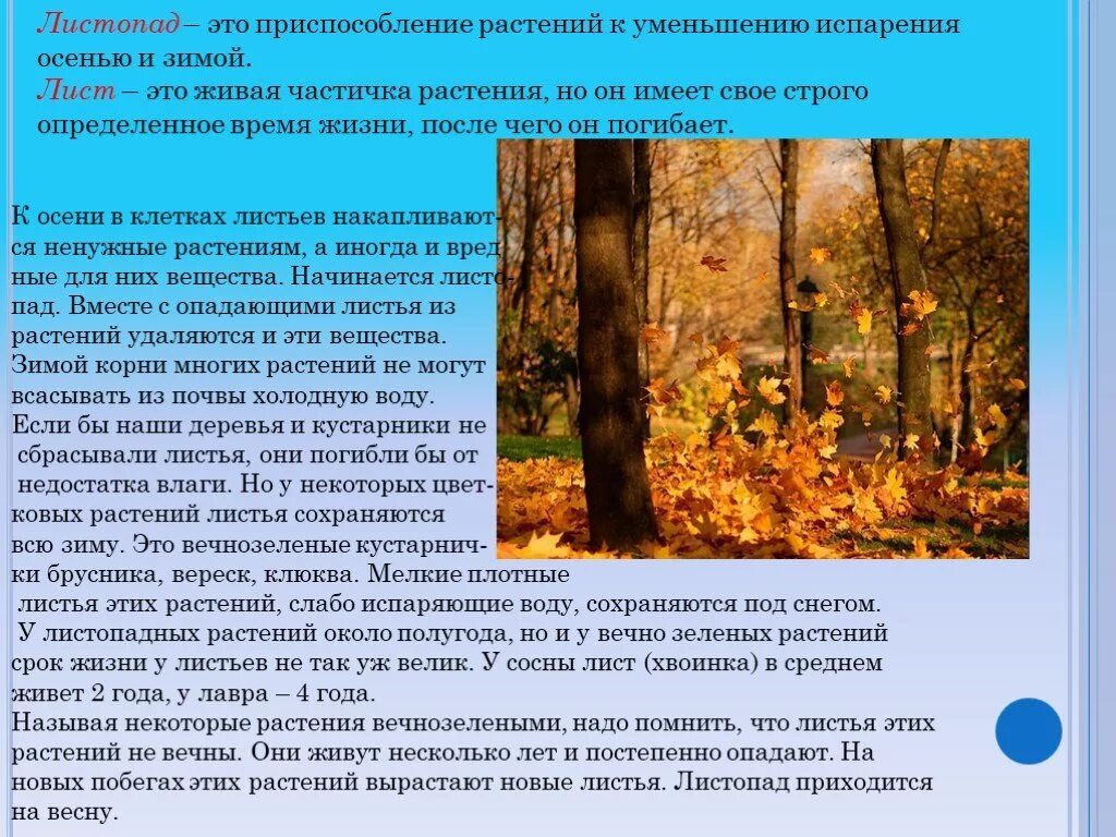 Приспособление растений осенью. Презентация на тему листопад. Осенние изменения в жизни растений. Листопад 6 класс презентация.