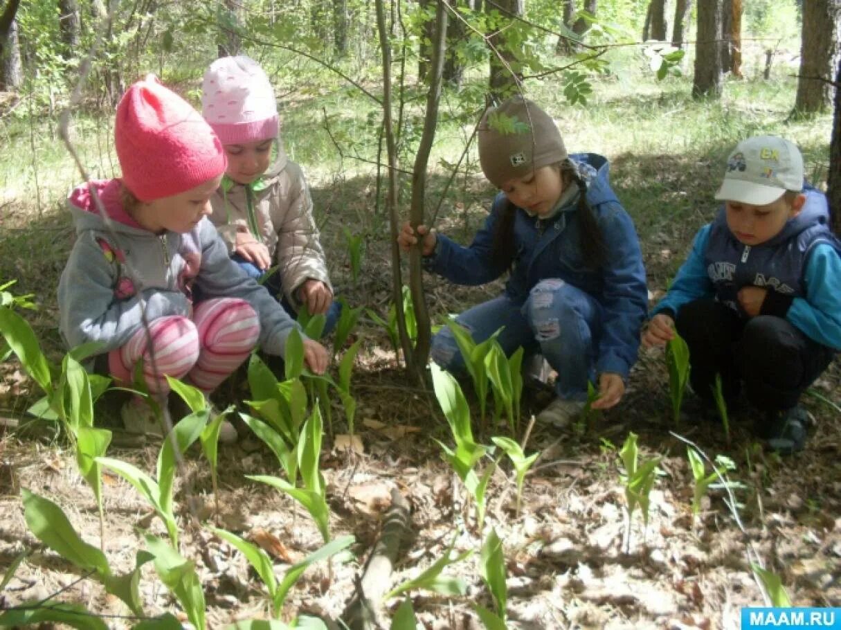 Весенняя прогулка движение первых