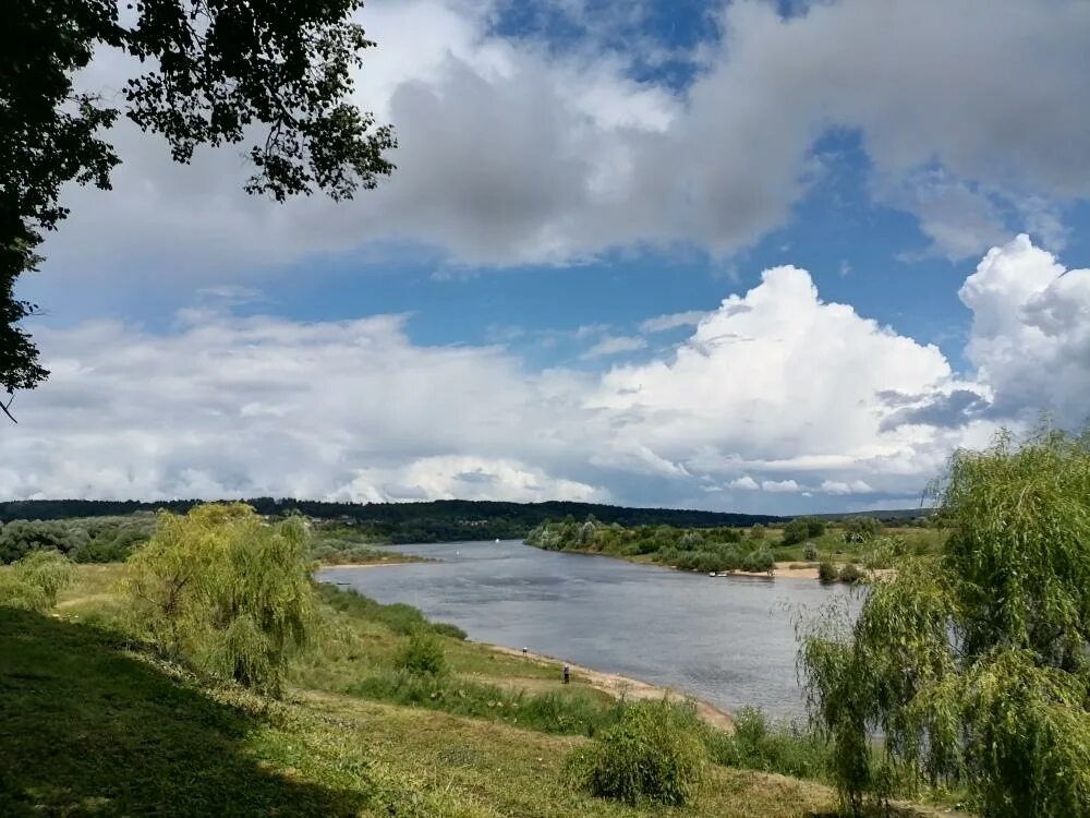 Погода в тарусе калужской области. Riverside Таруса. Река Таруса в Калужской области. Таруса Калужская область Легенда. Таруса (река) реки Калужской области.