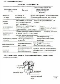 Эпс таблица по биологии
