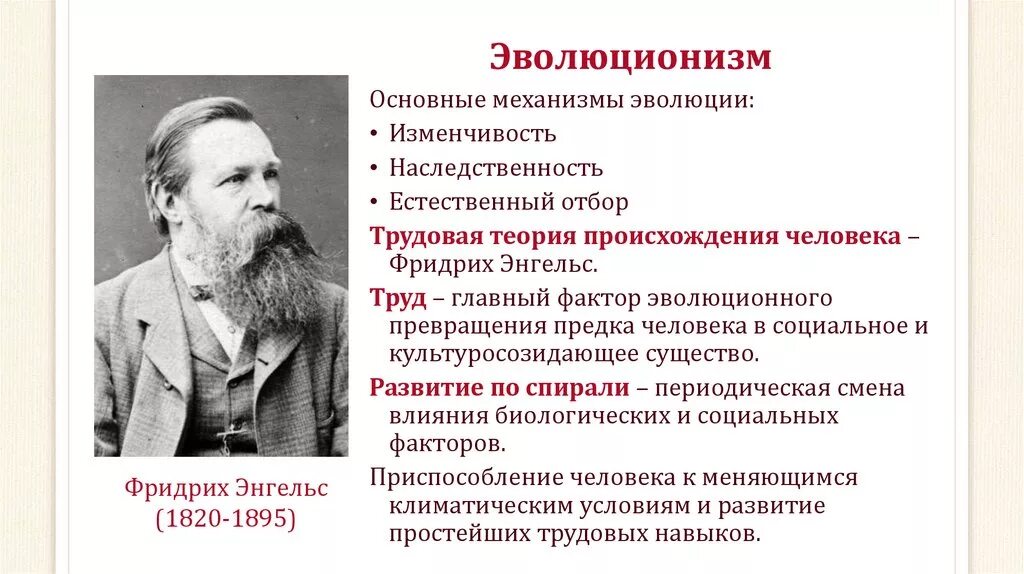 Энгельс роль труда. Трудовая теория Фридриха Энгельса. Трудовая теория Энгельса о происхождении человека. Гипотеза Энгельса о происхождении человека.