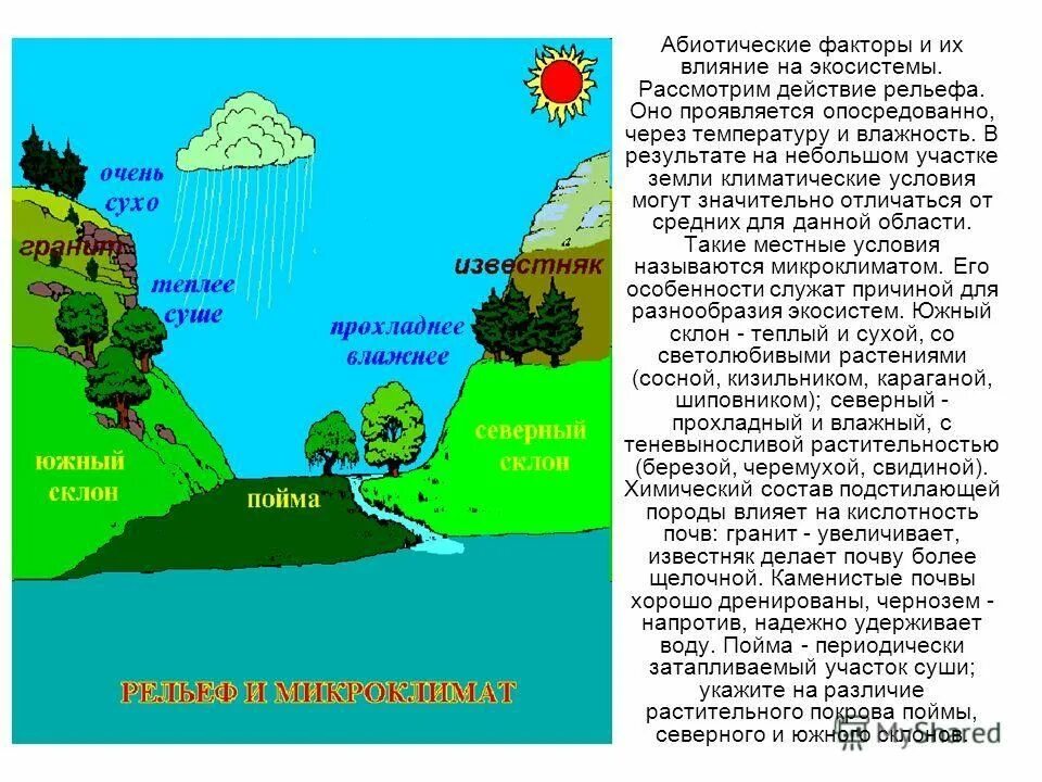 Какие факторы влияют на экосистему. Абиотические факторы рельеф. Факторы воздействия на экосистемы. Климатические абиотические факторы. Воздействие на экосистему.