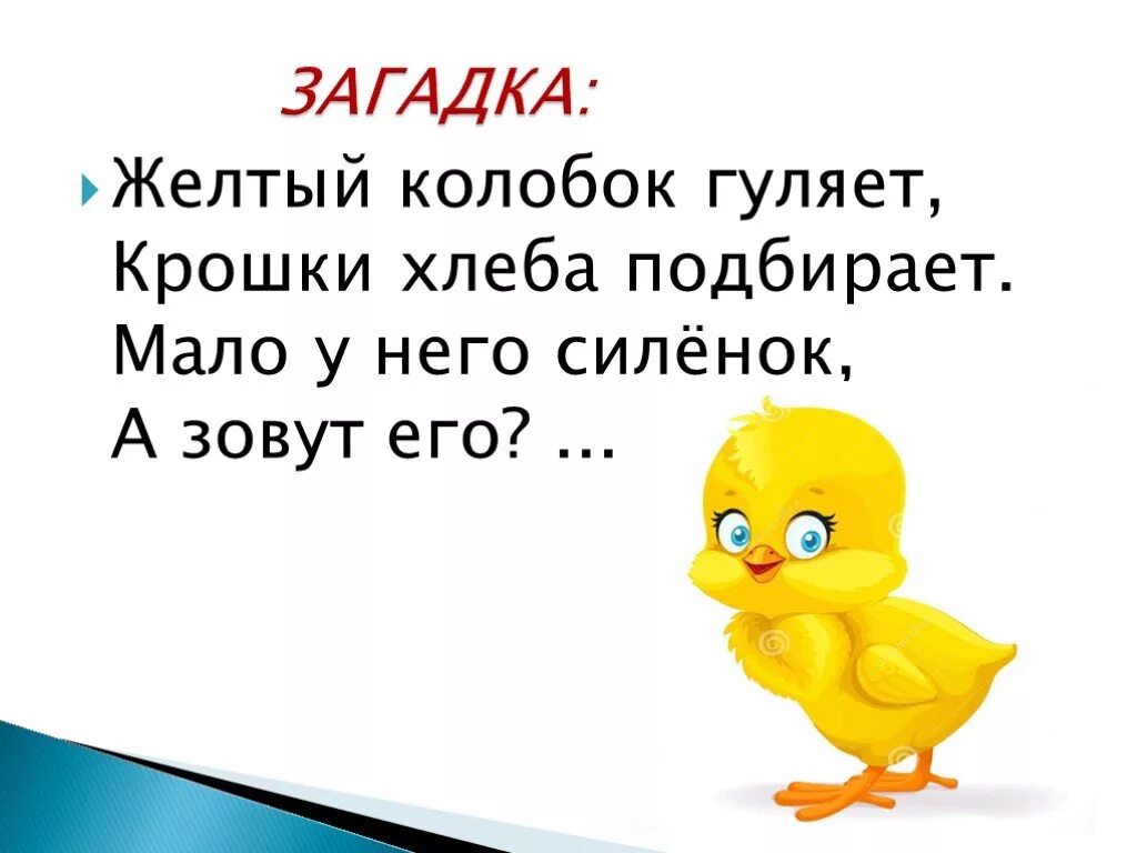 Загадка про цыпленка для детей. Загадка про цыпленка для малышей. Загадка про цыпленка для детей 3-4. Загадка про цыпленка для детей 3-4 лет.