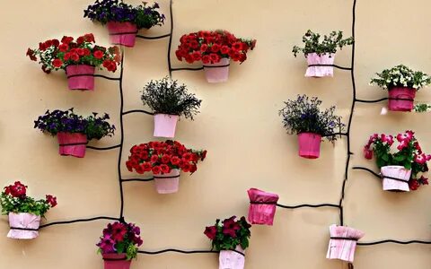 flower wall Auckland