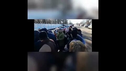 Днр таганрог
