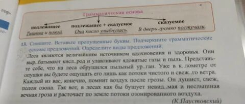 Спиши определи вид предложения