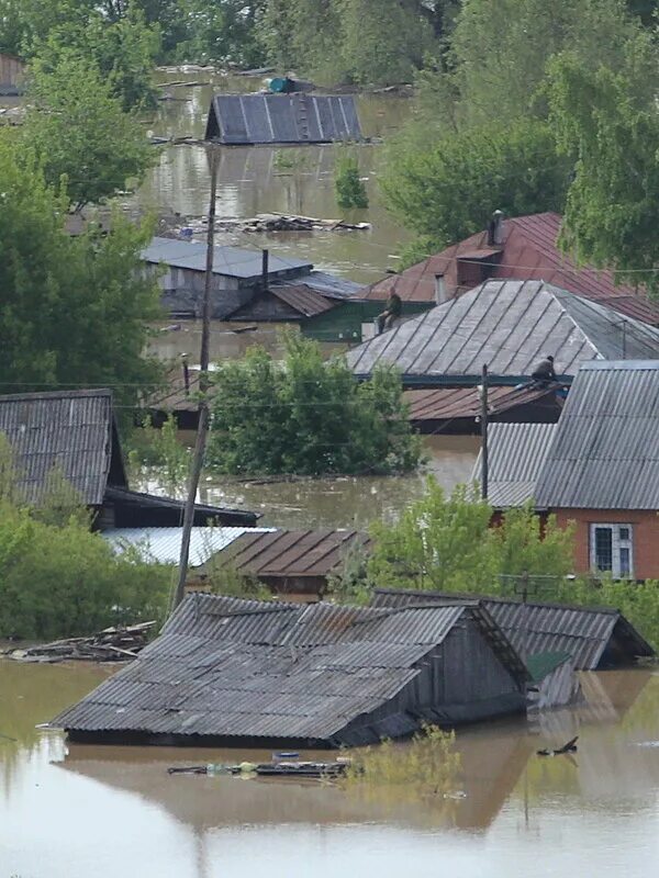 Наводнение в Алтайском крае 2014. Наводнение Бийск 2014. Наводнение в Бийске. Потоп в Бийске 2014. Паводок в алтайском крае сегодня