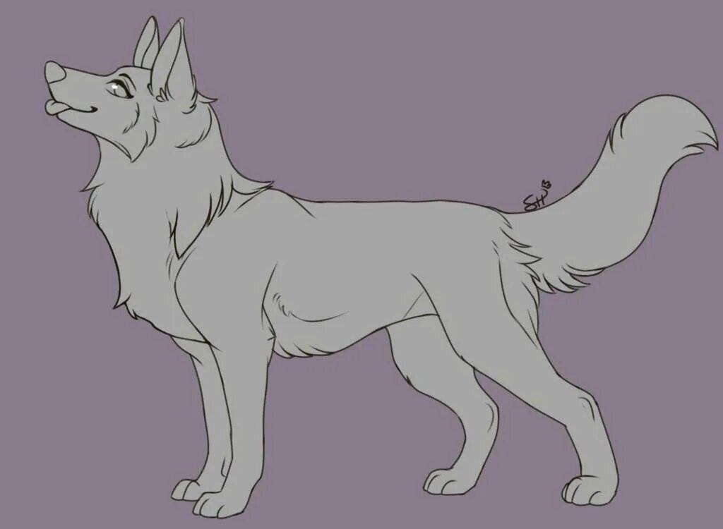 фото котов воителей для срисовки. голдлайн 10 мг. лайны собак. лет лайн. новогодние лайны котов.