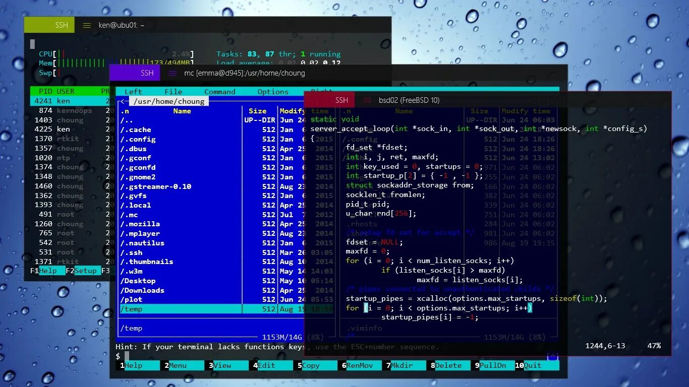 Terminal Windows 10. SSH клиент для Windows 10. SSH Server Windows 10. SSH Windows 11. Powershell terminal