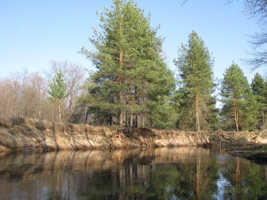 ильиногорск площадь. - церковь нижегородская обл. ильевка волгоградская. церковь тихона амафунтского вача. володарск ильиногорск.