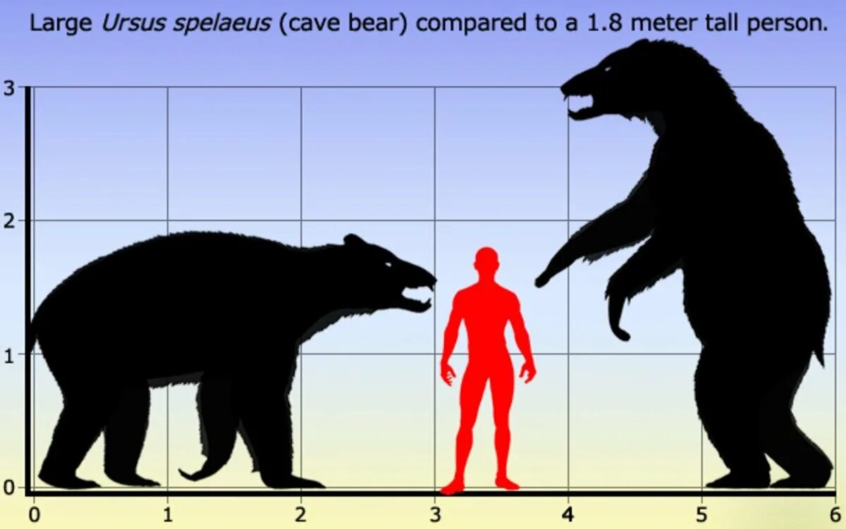 Какой медведь сильнее. Гигантский Короткомордый медведь Арктодус. Урсус пещерный медведь. Пещерный медведь Размеры. Бурый Короткомордый медведь.