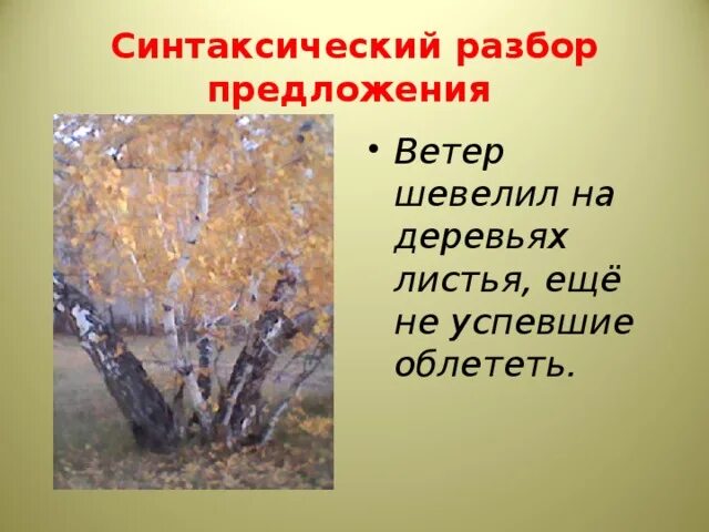 Ветер придумать предложение. Предложения о ветре. Предложение о ветре 3 класс. 2 Предложения о ветре. Предложение про ветер 2 класс.