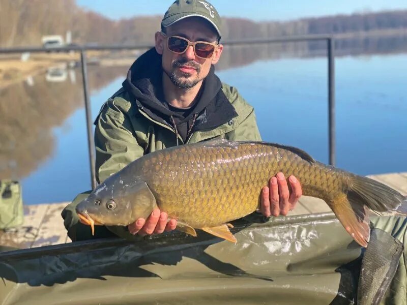 Юный рыбак. Курский карп. Рыбалка в курской обл троица. Курский карповый клуб. Рыбалка роговое.