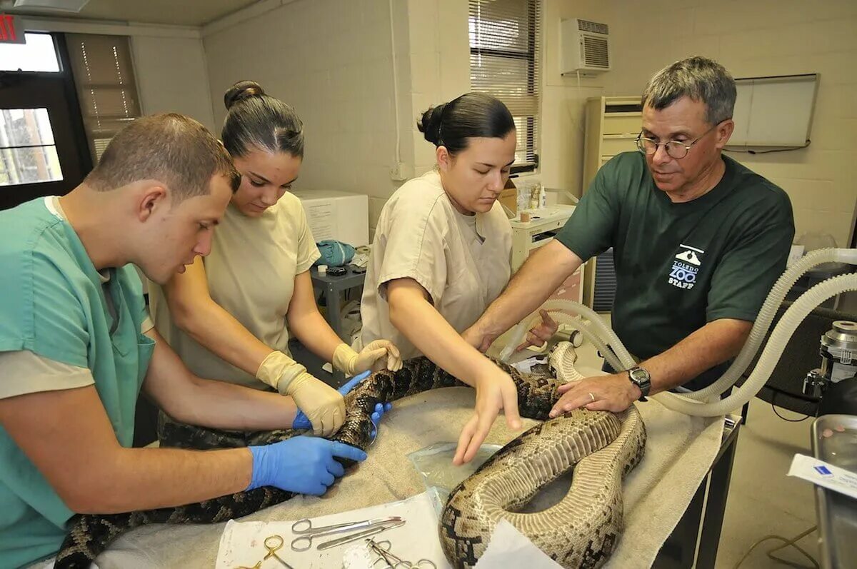 Стань ассистентом. Коуч консультант картинки. Девушка со смартфоном. Самсунг женщина ассистент. Стань ассистентом.