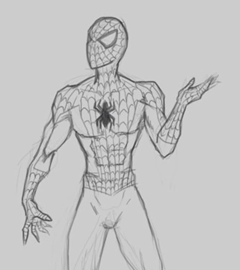 Draw spider man